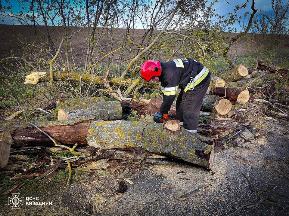 Сильний вітер на Київщині повалив дерева та спричинив пожежу автомобіля - фото 3