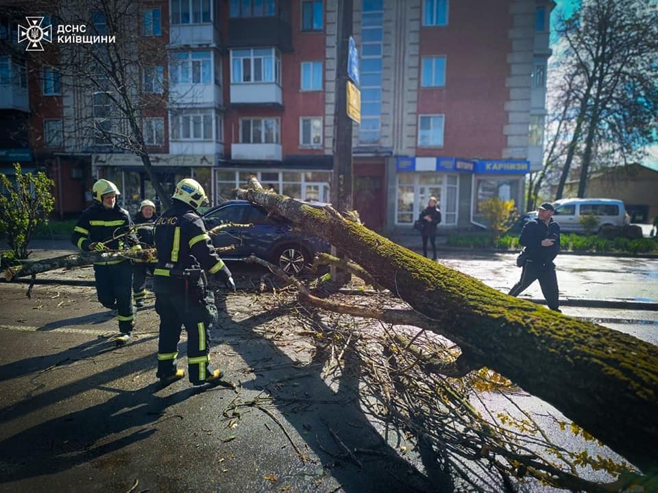 Сильний вітер на Київщині повалив дерева та спричинив пожежу автомобіля