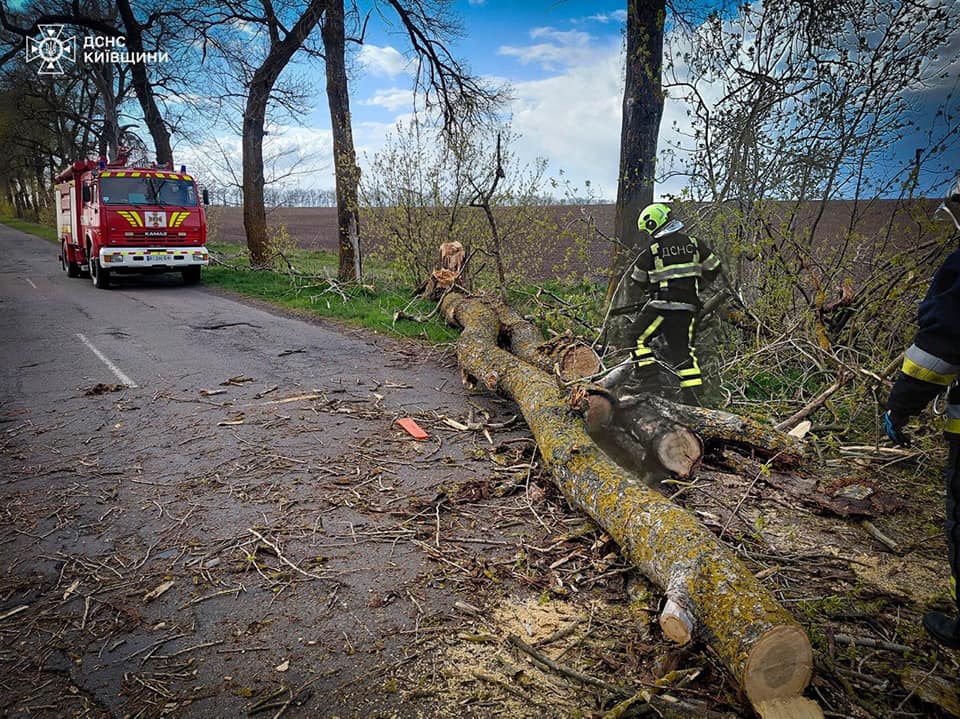 Сильний вітер на Київщині повалив дерева та спричинив пожежу автомобіля - фото 4