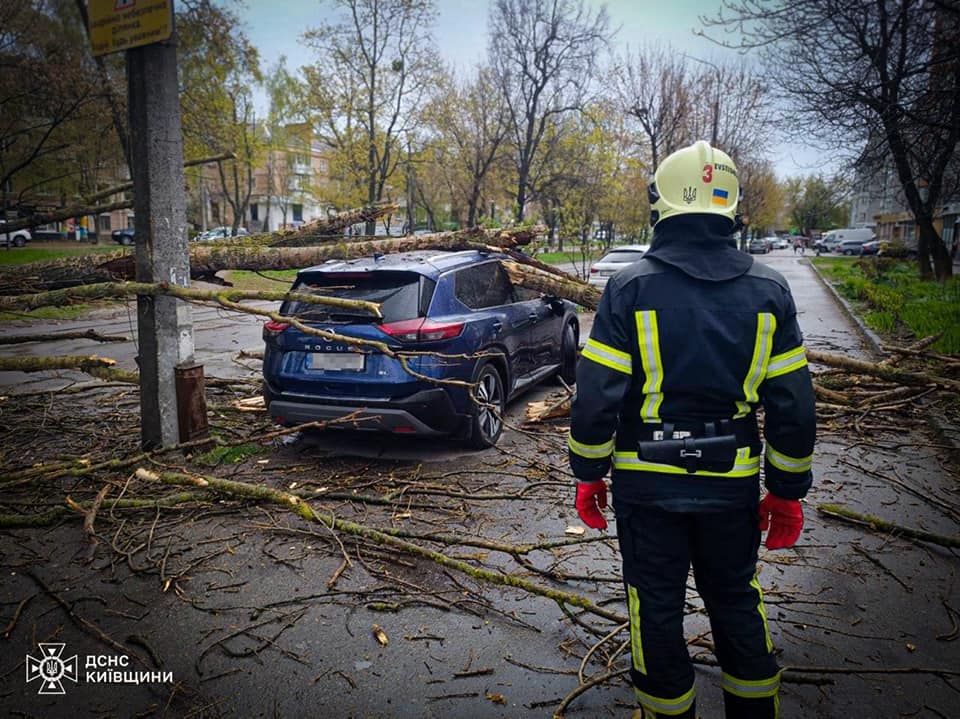 Сильний вітер на Київщині повалив дерева та спричинив пожежу автомобіля - фото 2