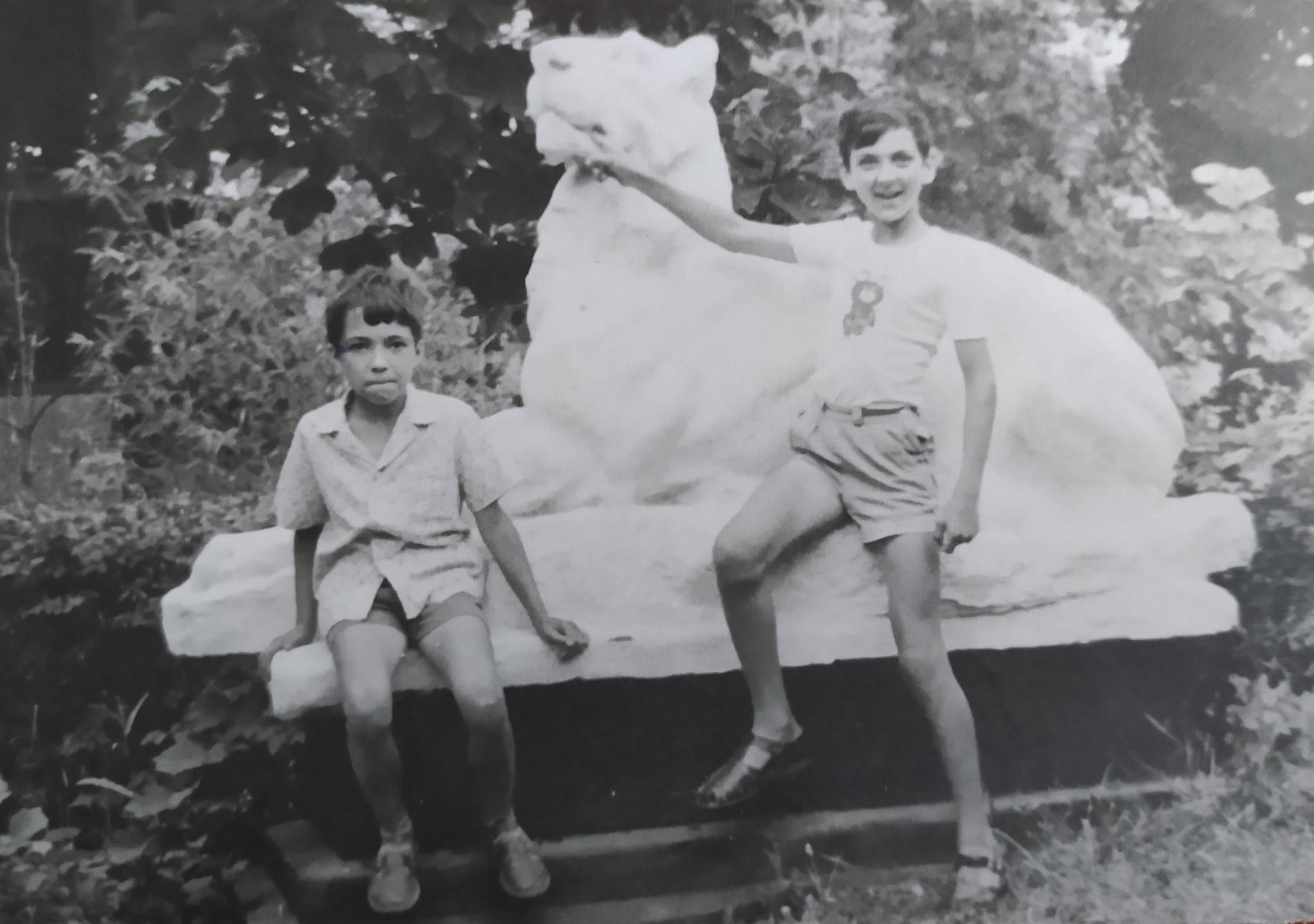 Голову скульптури лева дістали з річки на території заповідника у Черкаській області