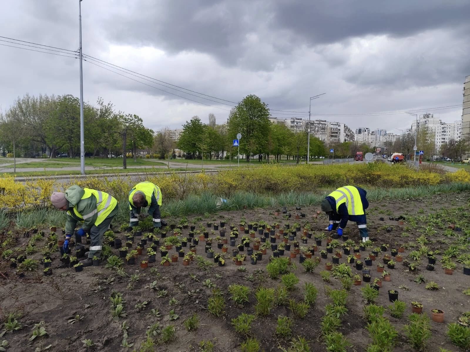 У Києві за тиждень висадили сотні дерев і тисячі кущів та квітів