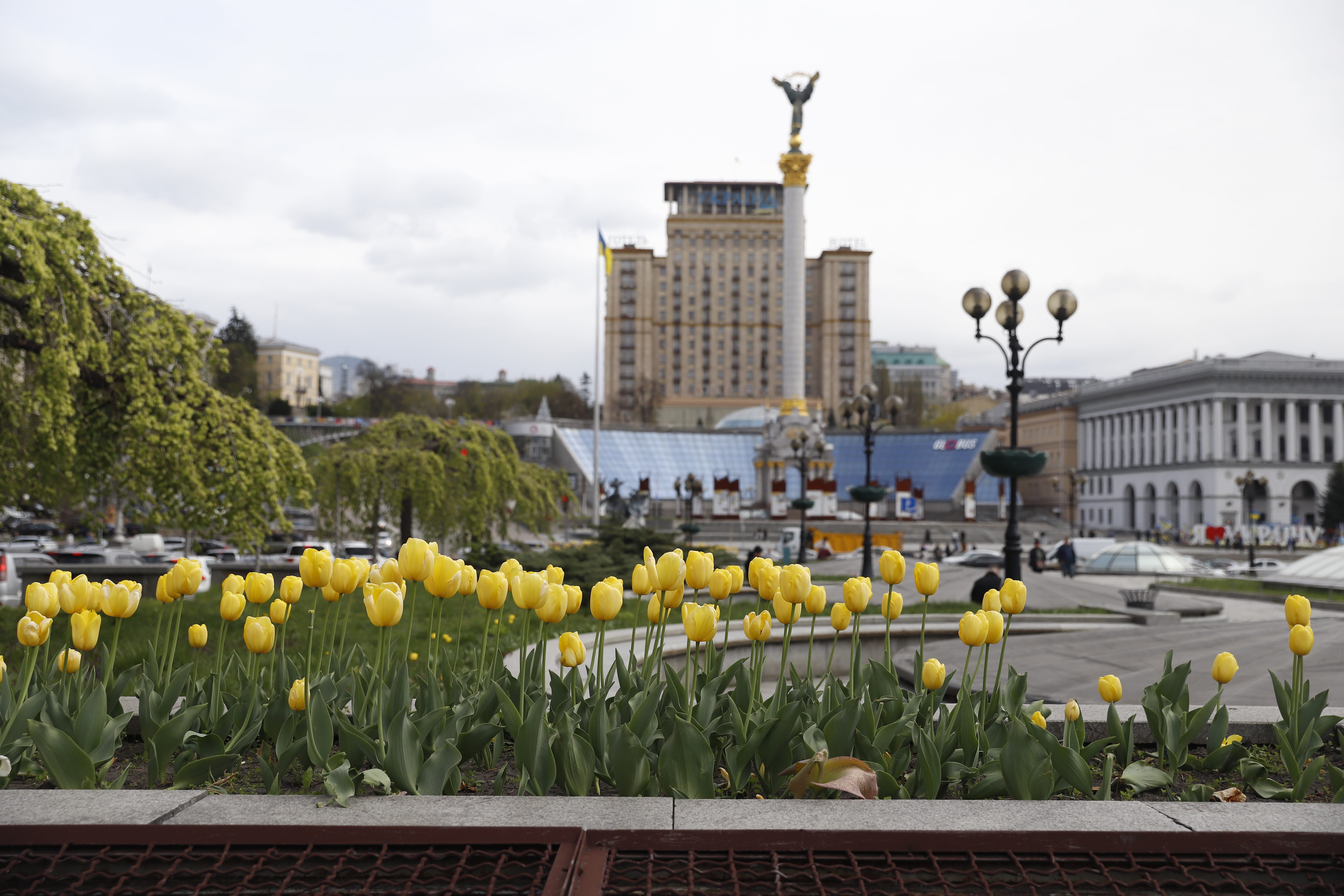 Де шукати тюльпани у Києві: адреси парків і скверів
