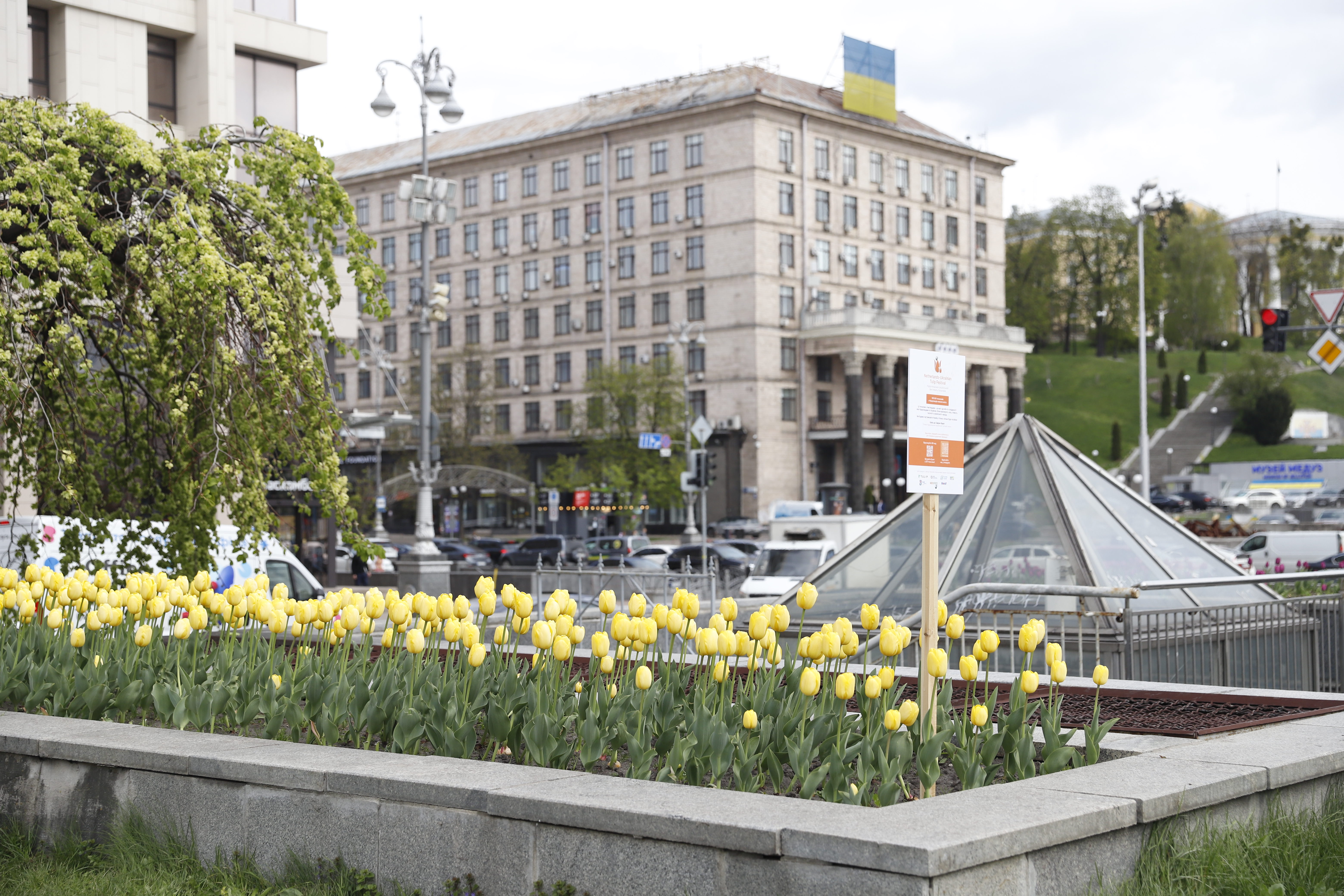 Де шукати тюльпани у Києві: адреси парків і скверів - фото 6