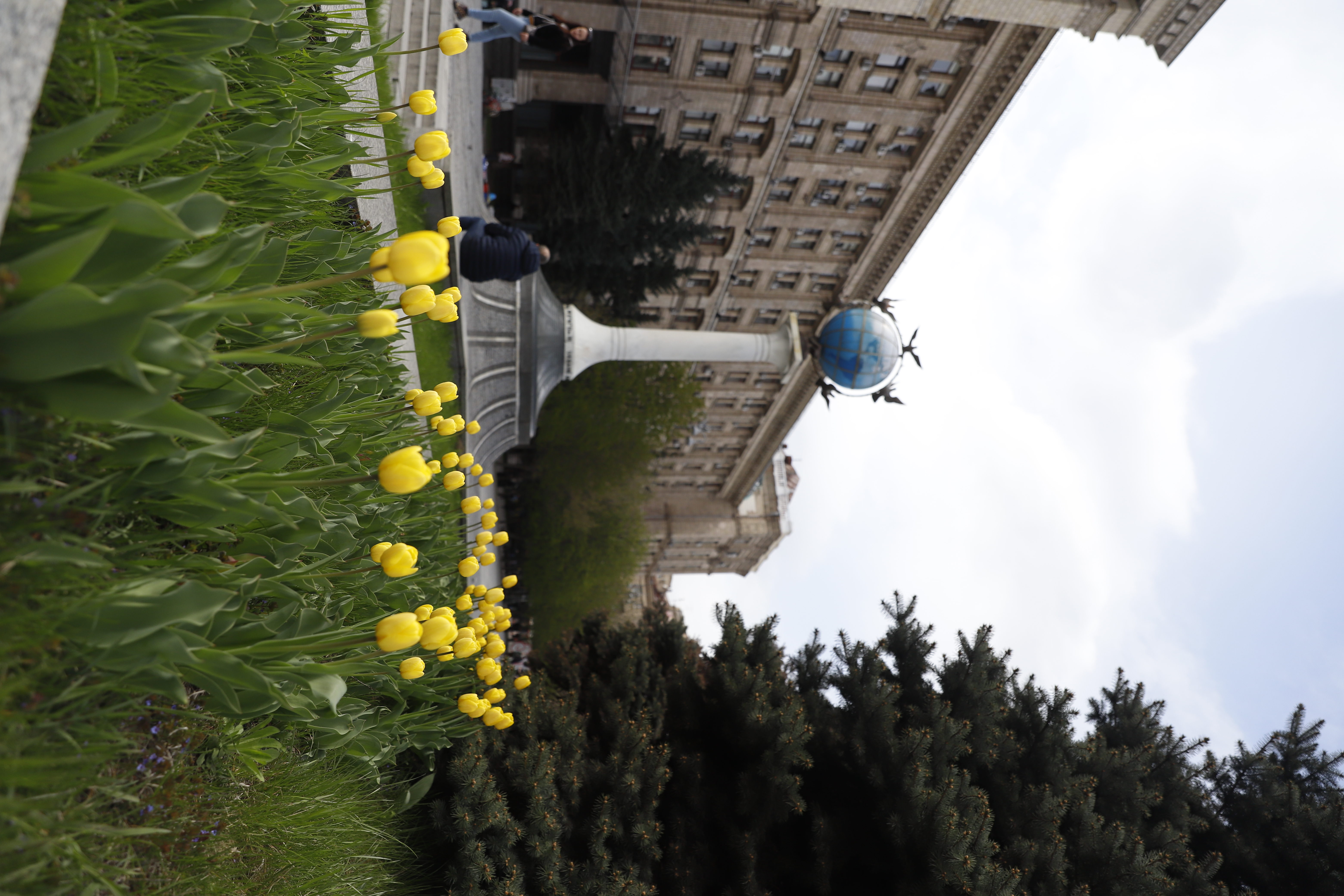 Де шукати тюльпани у Києві: адреси парків і скверів - фото 4