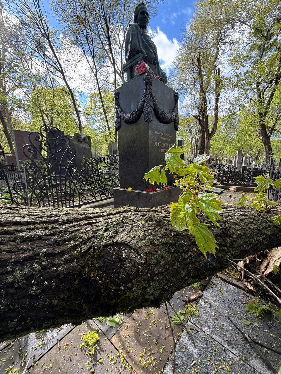 Побиті авто, відірвані дахи та паркани: негода вирує на Київщині - фото 2