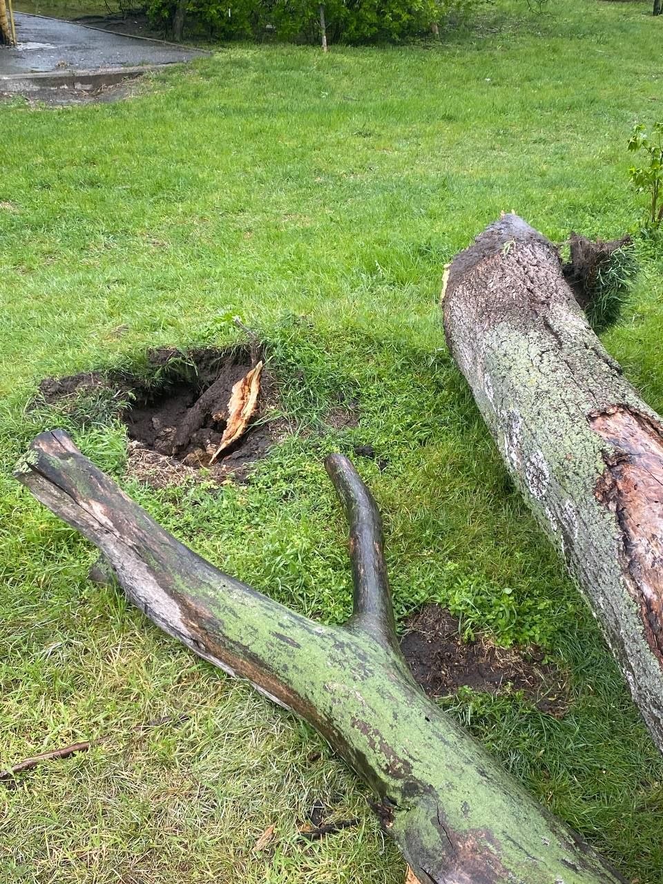 Побиті авто, відірвані дахи та паркани: негода вирує на Київщині - фото 5