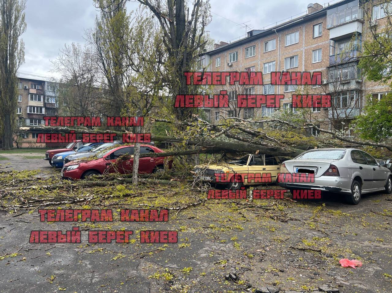 Побиті авто, відірвані дахи та паркани: негода вирує на Київщині - фото 7