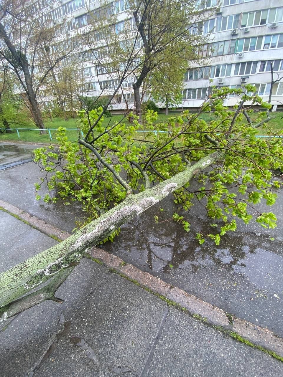 Побиті авто, відірвані дахи та паркани: негода вирує на Київщині - фото 4