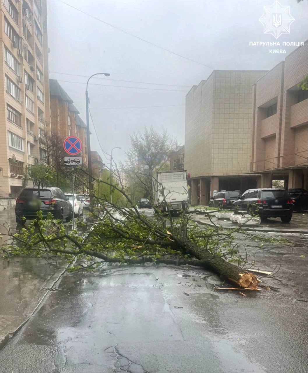 Побиті авто, відірвані дахи та паркани: негода вирує на Київщині - фото 6