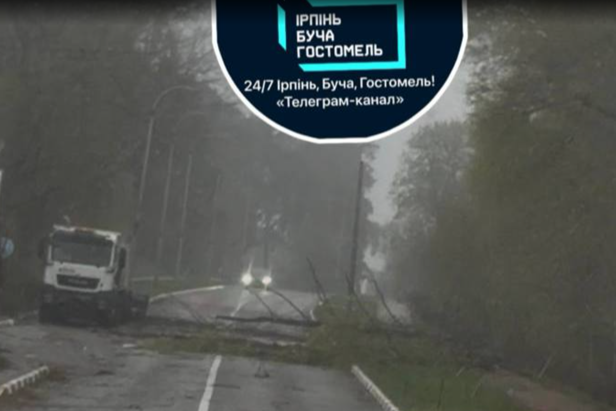 Побиті авто, відірвані дахи та паркани: негода вирує на Київщині - фото 8