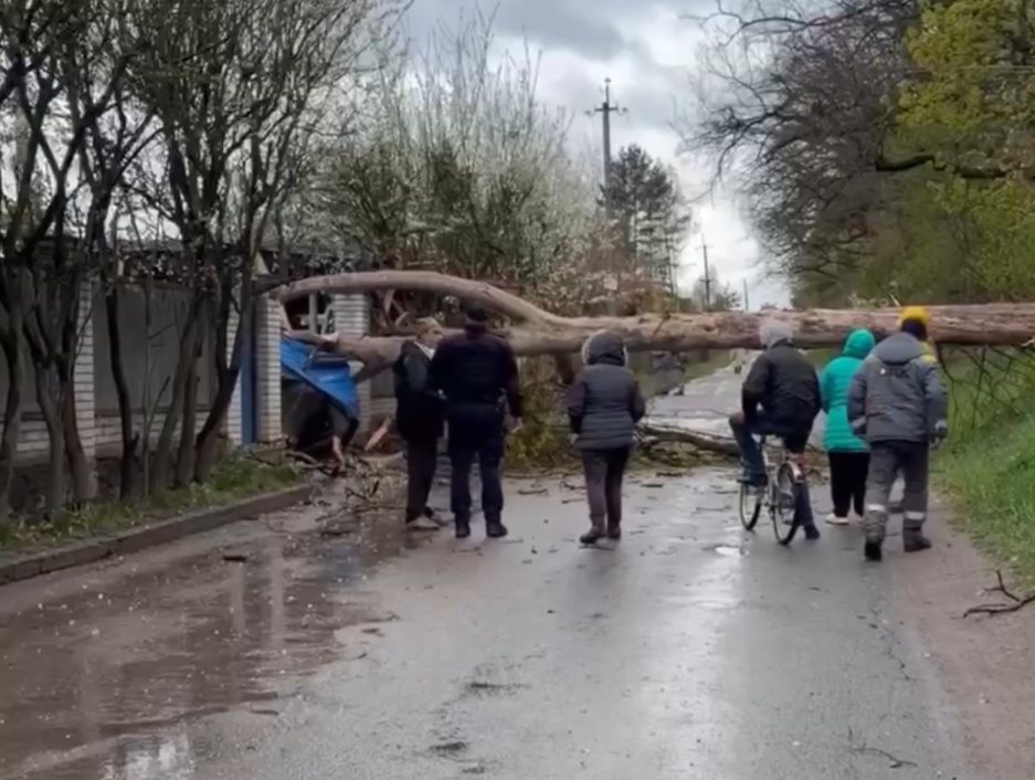 Побиті авто, відірвані дахи та паркани: негода вирує на Київщині - фото 9