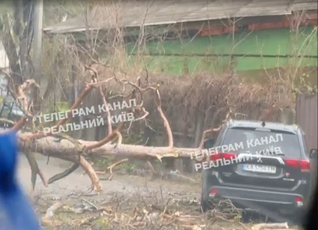 Побиті авто, відірвані дахи та паркани: негода вирує на Київщині - фото 10