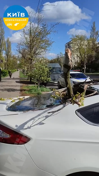 Побиті авто, відірвані дахи та паркани: негода вирує на Київщині