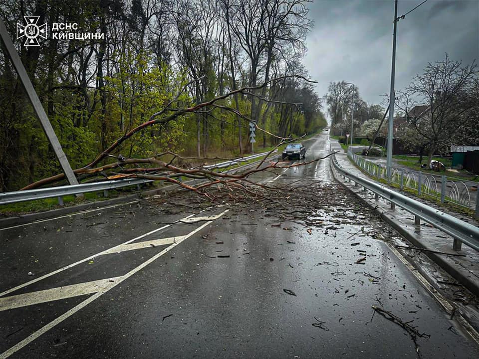 На Київщині продовжують ліквідовувати наслідки негоди: прибирають дерева та відновлюють електропостачання - фото 2