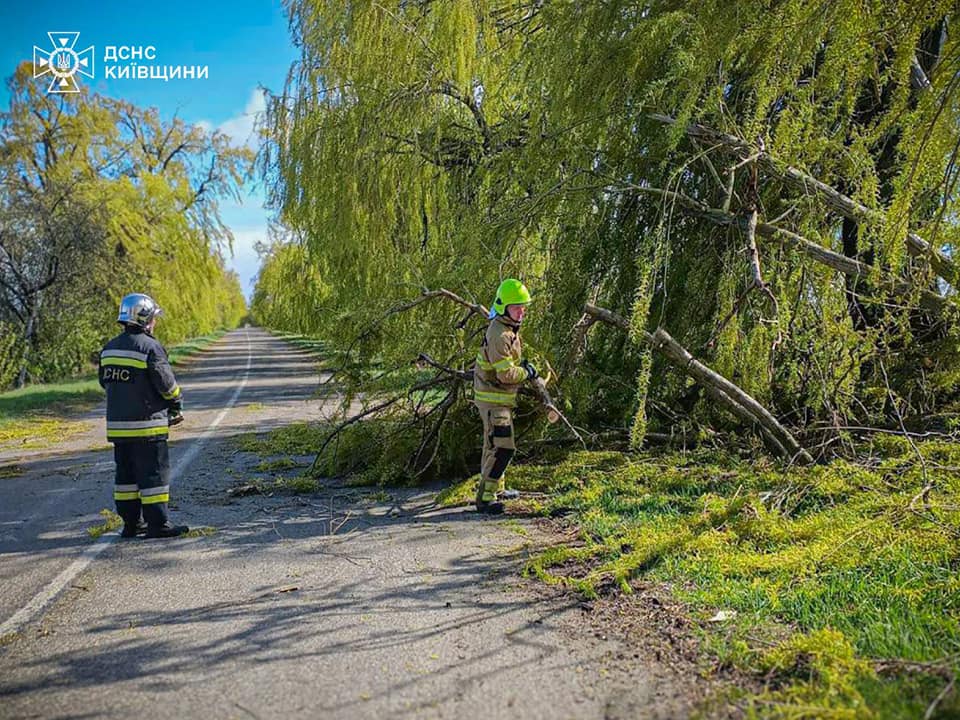 На Київщині продовжують ліквідовувати наслідки негоди: прибирають дерева та відновлюють електропостачання - фото 3