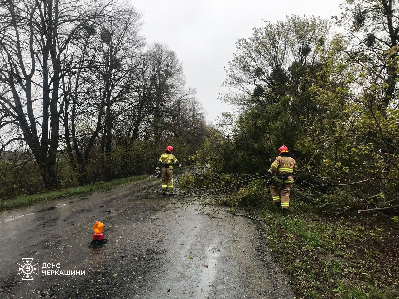 Вітер звалив 45 дерев на дороги у Черкаській області - фото 5