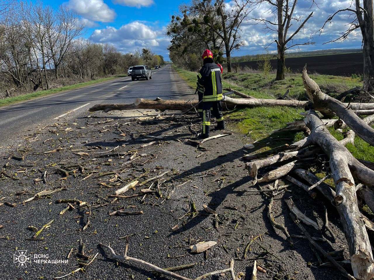 Вітер звалив 45 дерев на дороги у Черкаській області - фото 6