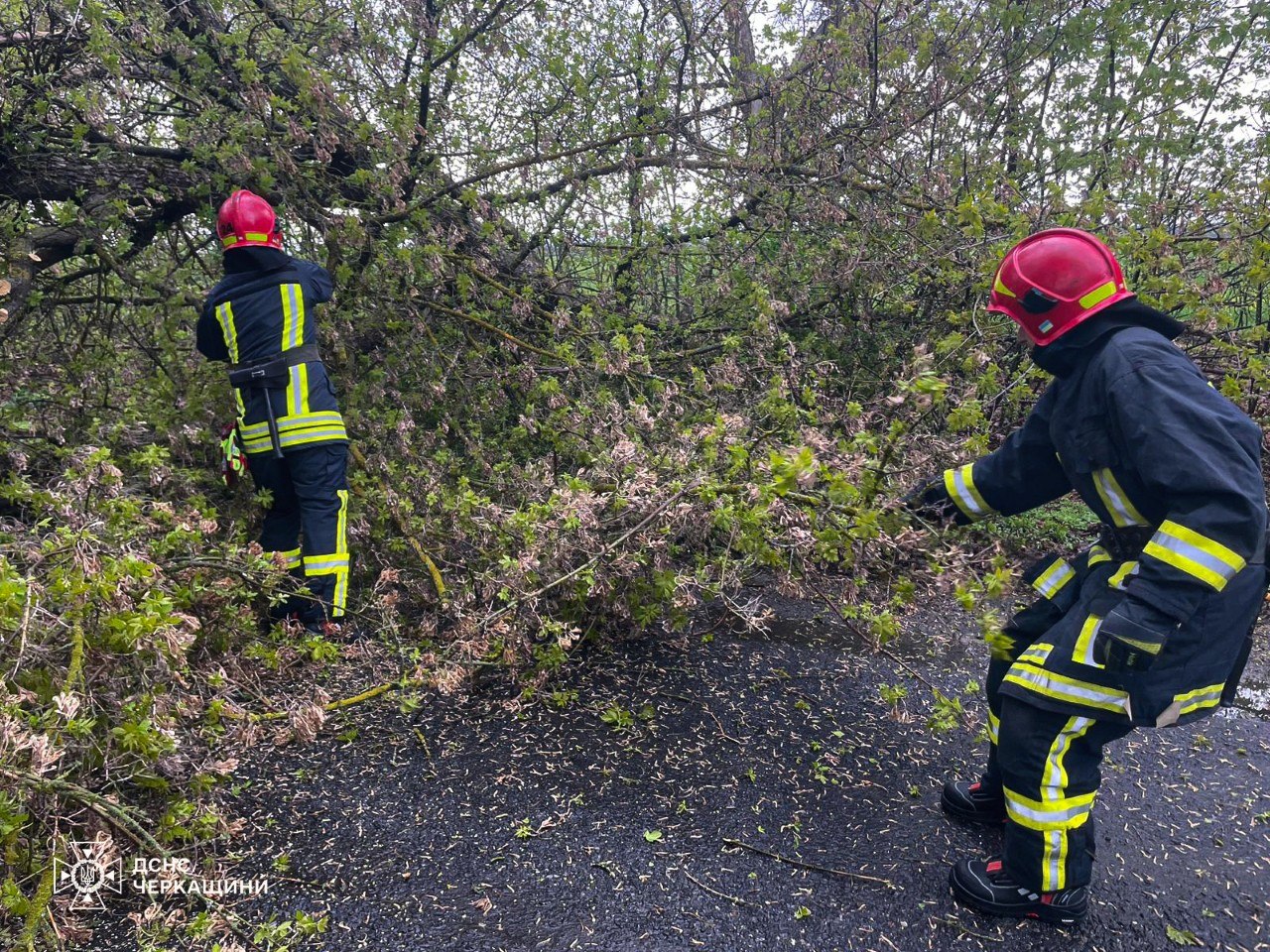 Вітер звалив 45 дерев на дороги у Черкаській області - фото 8