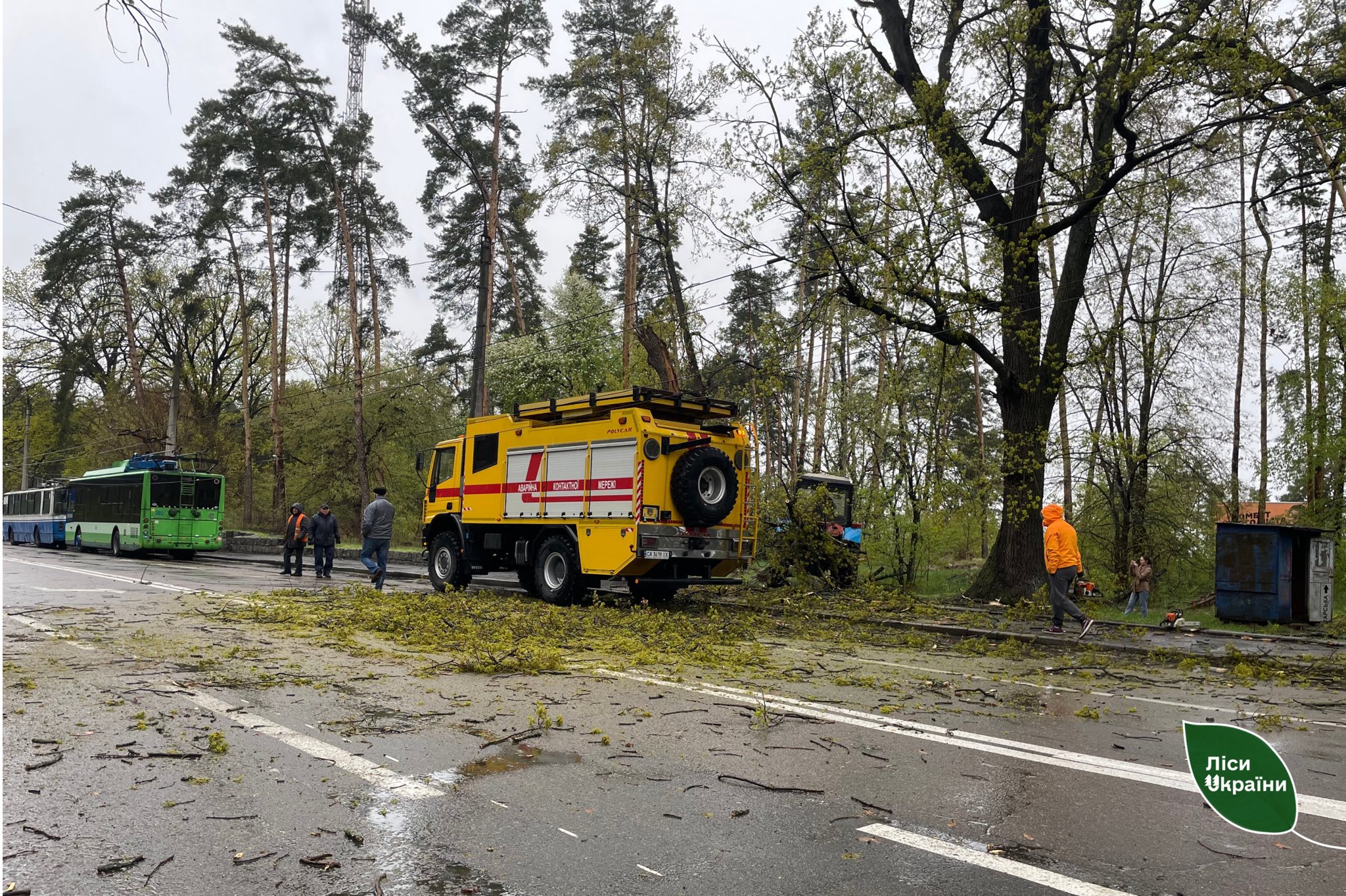 Вітер звалив 45 дерев на дороги у Черкаській області