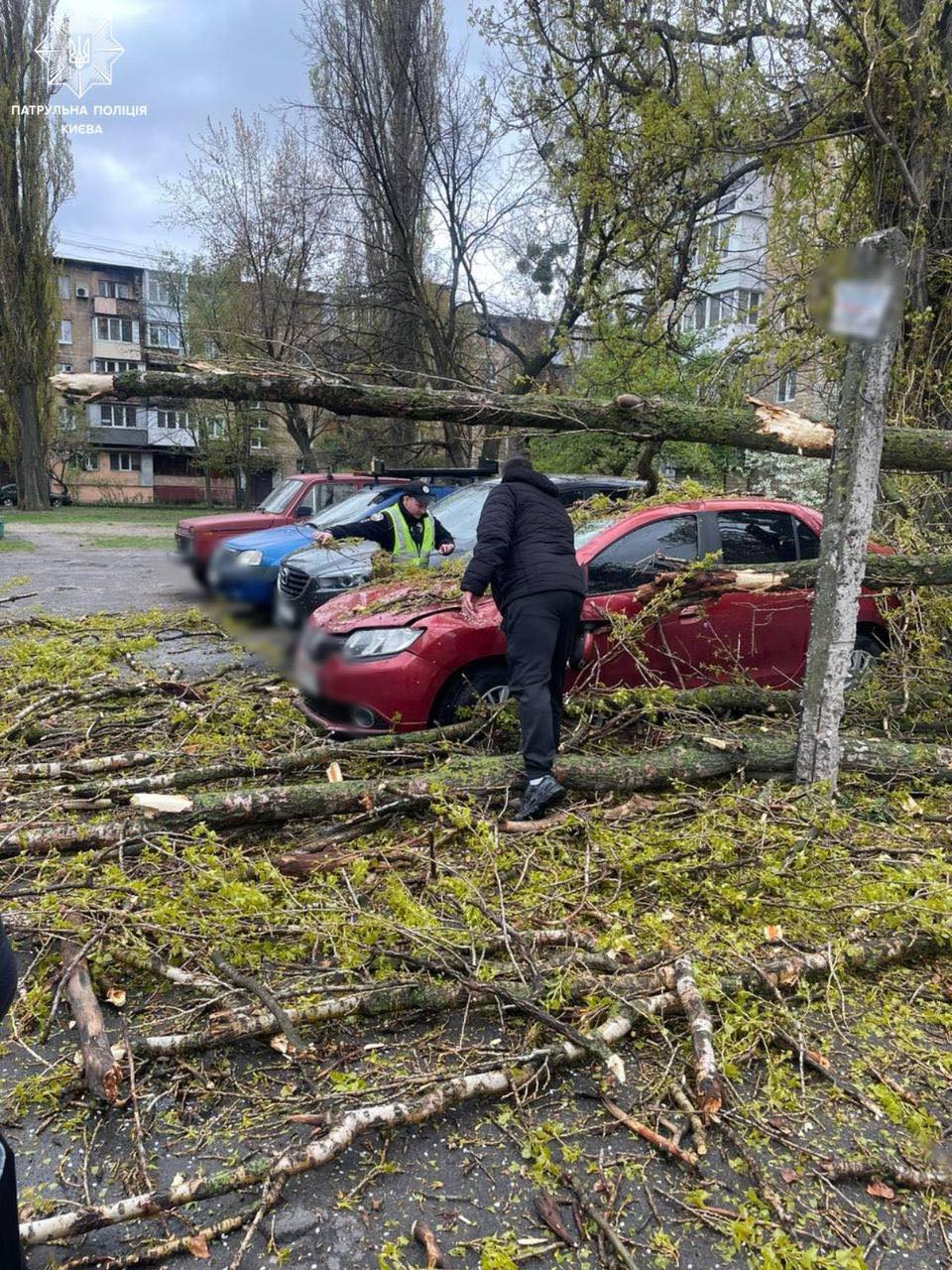 Наслідки шквального вітру в Україні: троє загиблих, населені пункти без світла