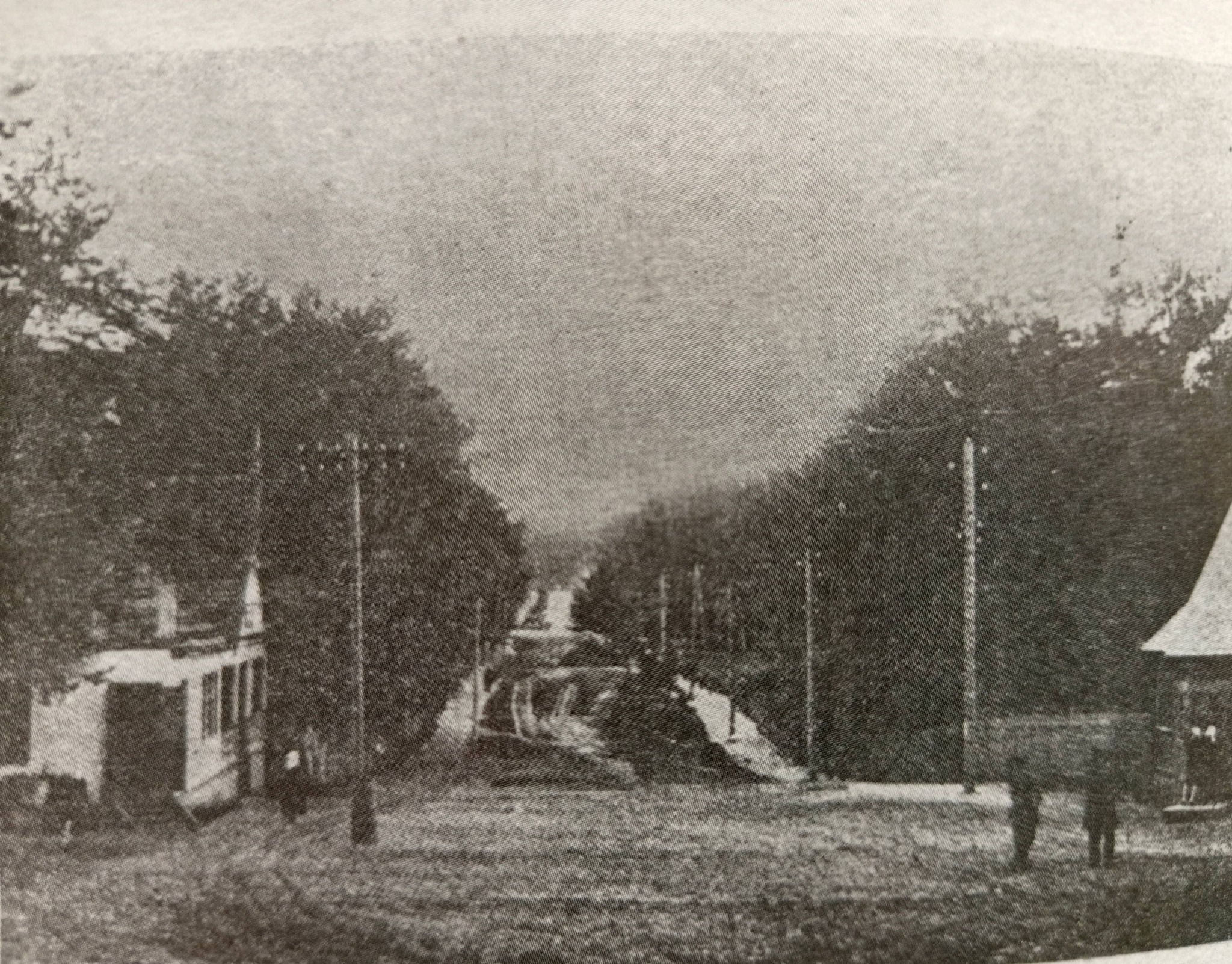 Музейниця показала архівні фото «Соснового бору» у Черкасах - фото 4