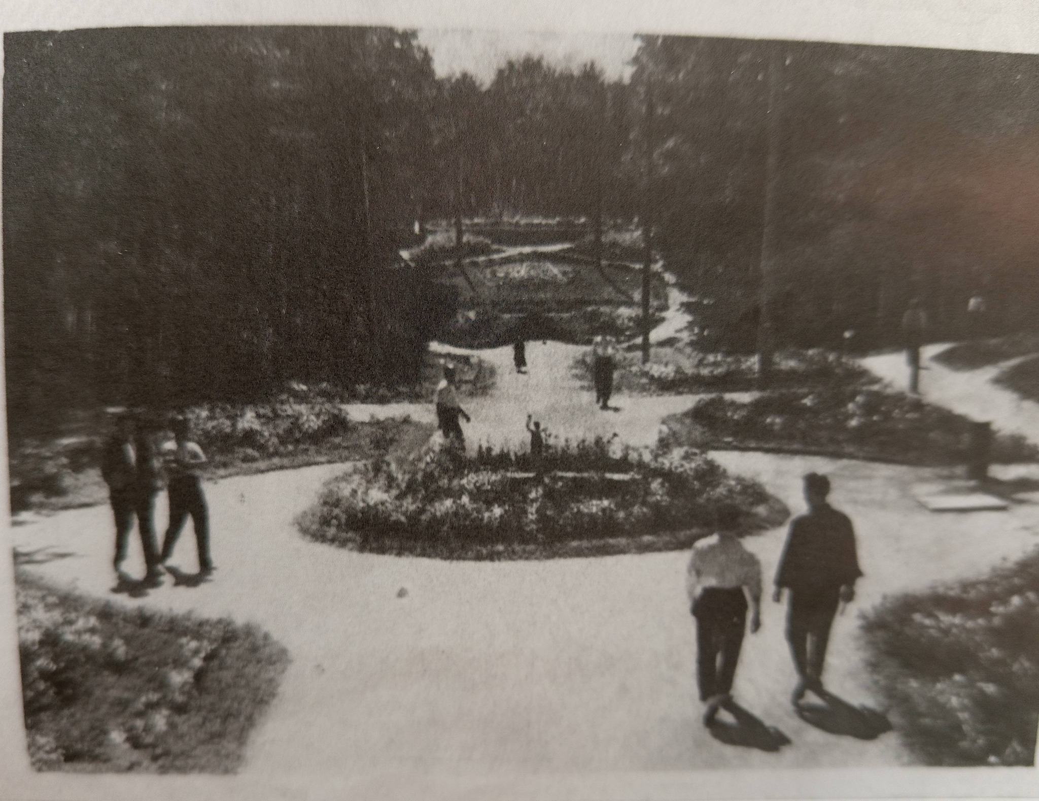 Музейниця показала архівні фото «Соснового бору» у Черкасах - фото 5