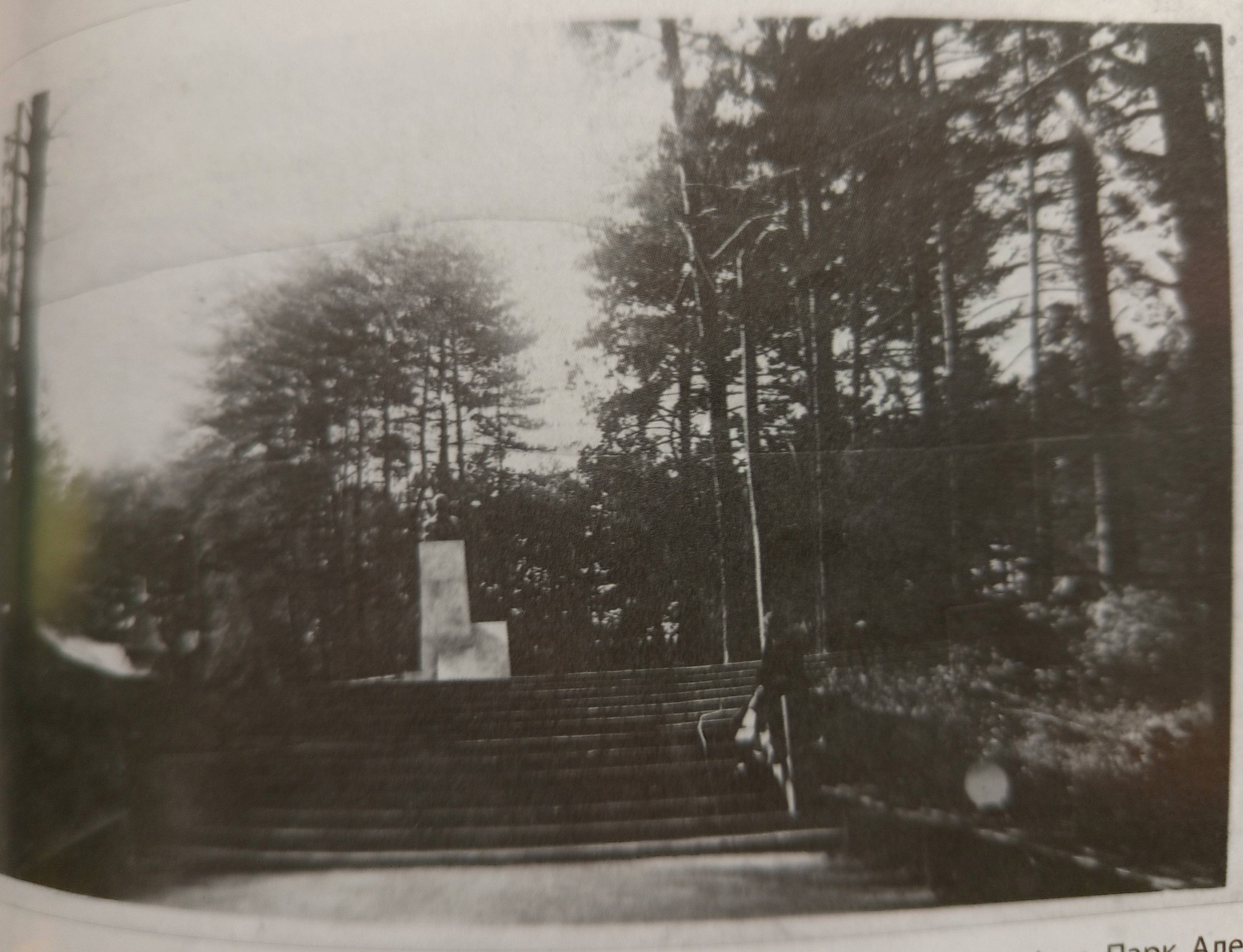 Музейниця показала архівні фото «Соснового бору» у Черкасах - фото 8