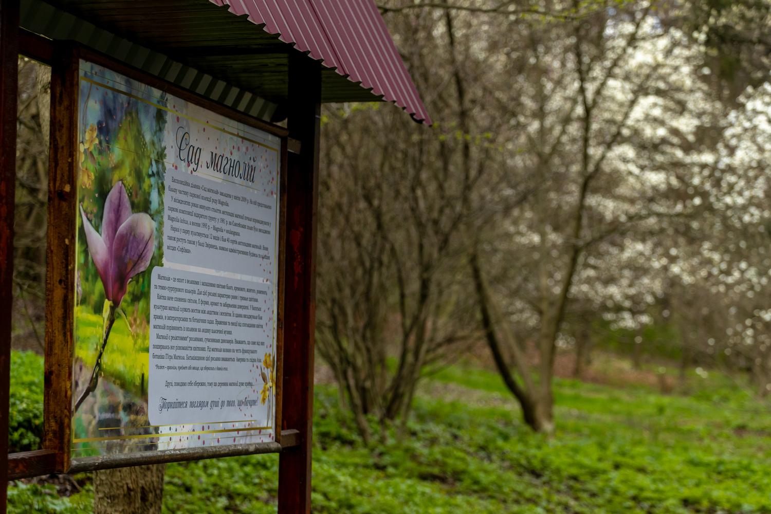Олені, міфічні статуї і магнолії. Фото весняної «Софіївки» - фото 2