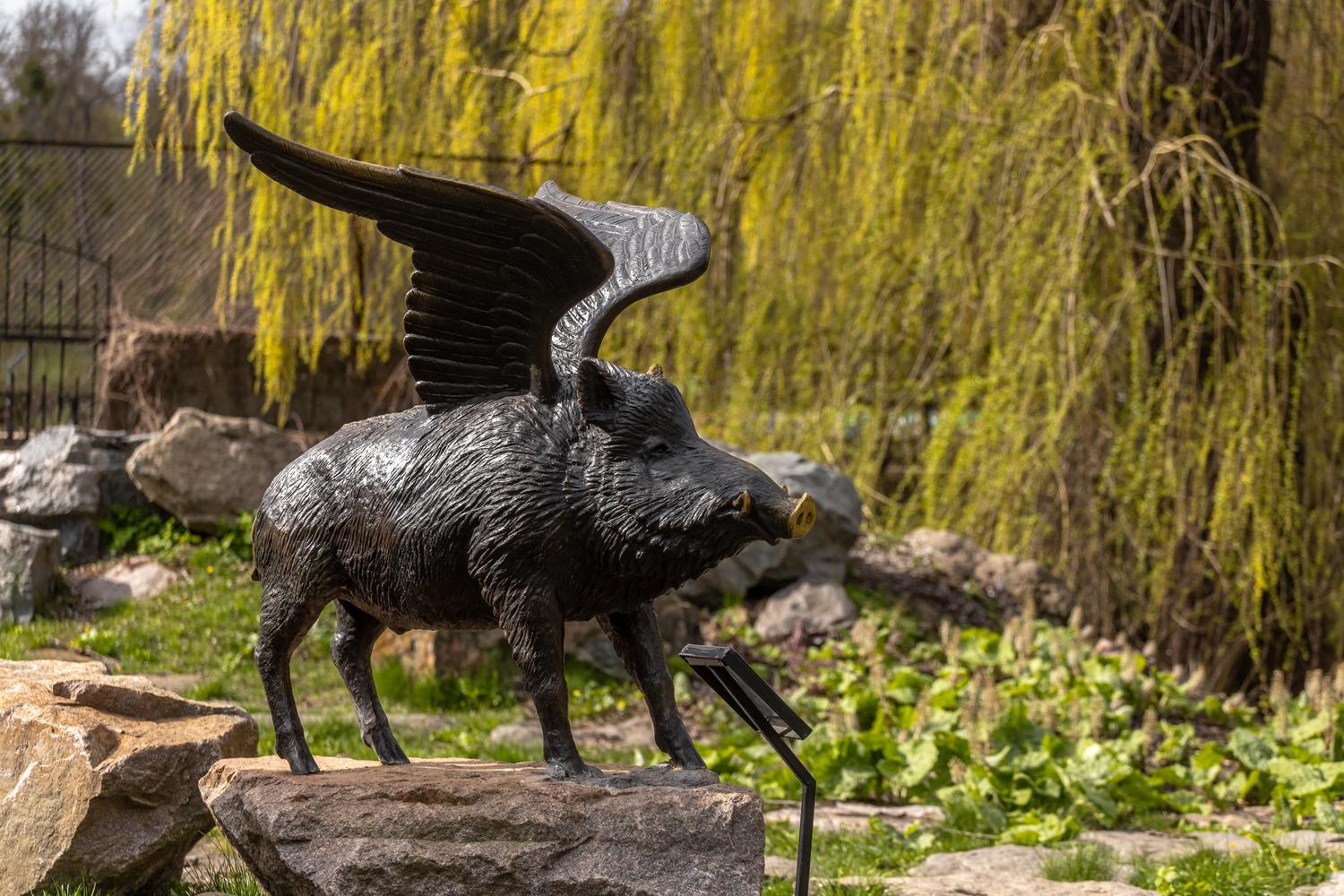 Олені, міфічні статуї і магнолії. Фото весняної «Софіївки» - фото 4