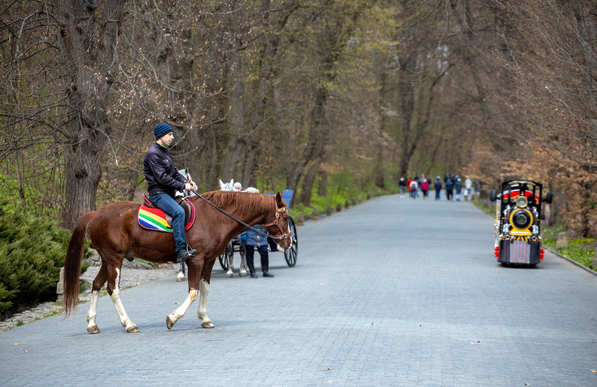 Олені, міфічні статуї і магнолії. Фото весняної «Софіївки» - фото 6