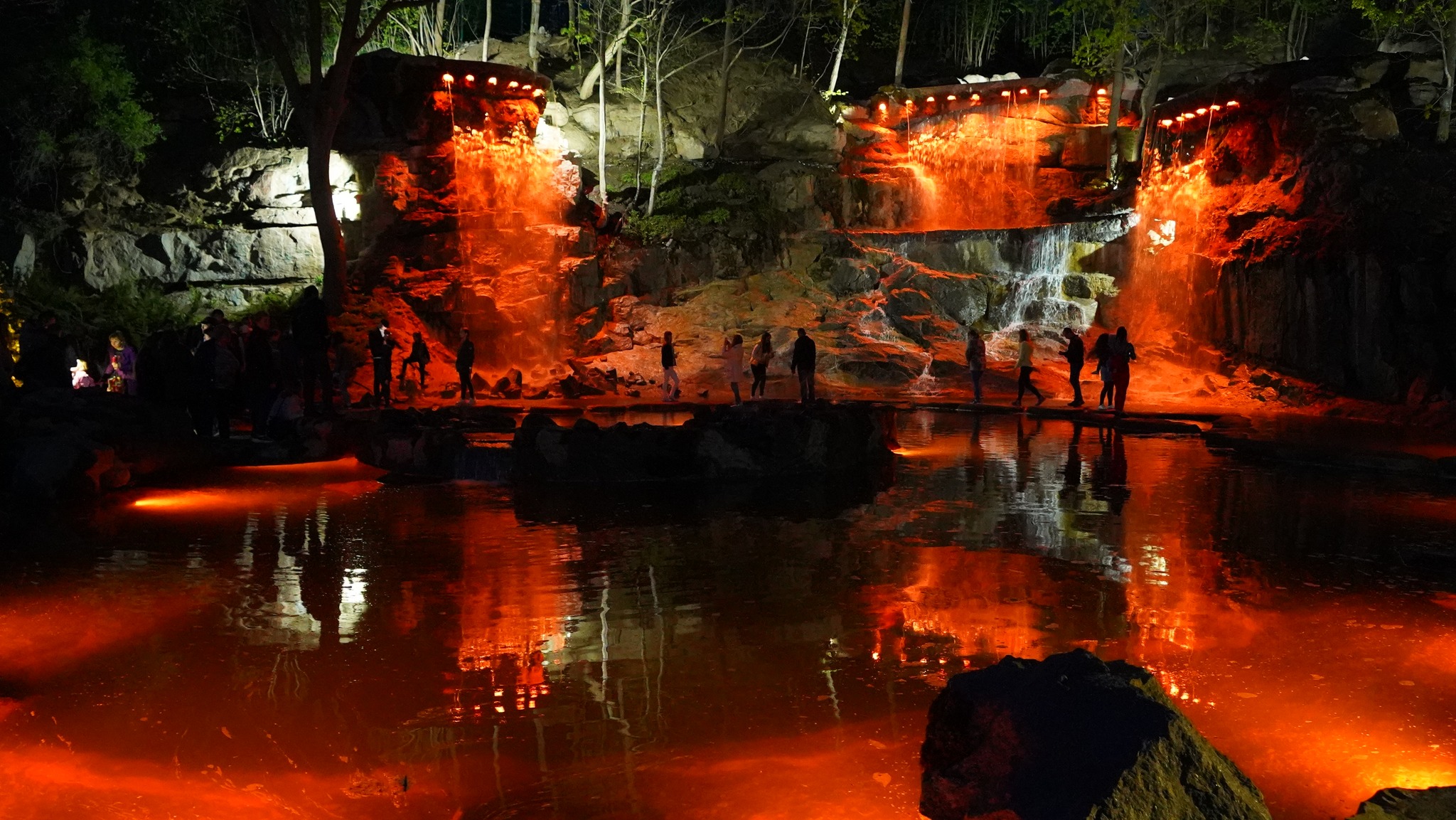 Олені, міфічні статуї і магнолії. Фото весняної «Софіївки» - фото 20
