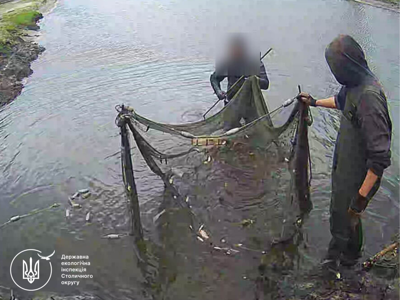 Фермер із Київщини незаконно наловив риби на 6 млн грн - фото 4