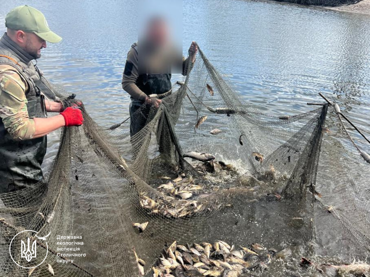 Фермер із Київщини незаконно наловив риби на 6 млн грн - фото 6