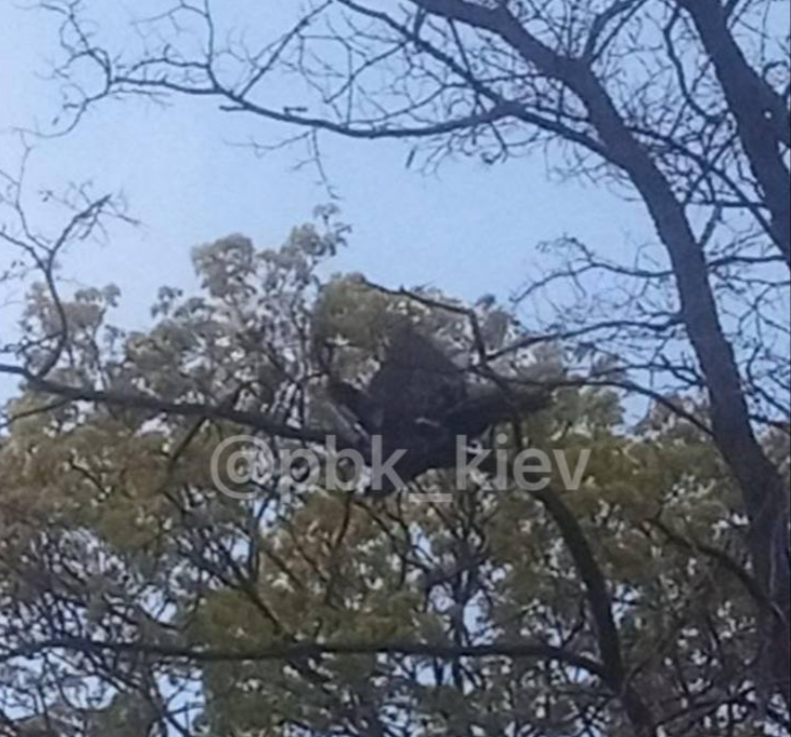 Вибухи у Києві: рф атакує столицю