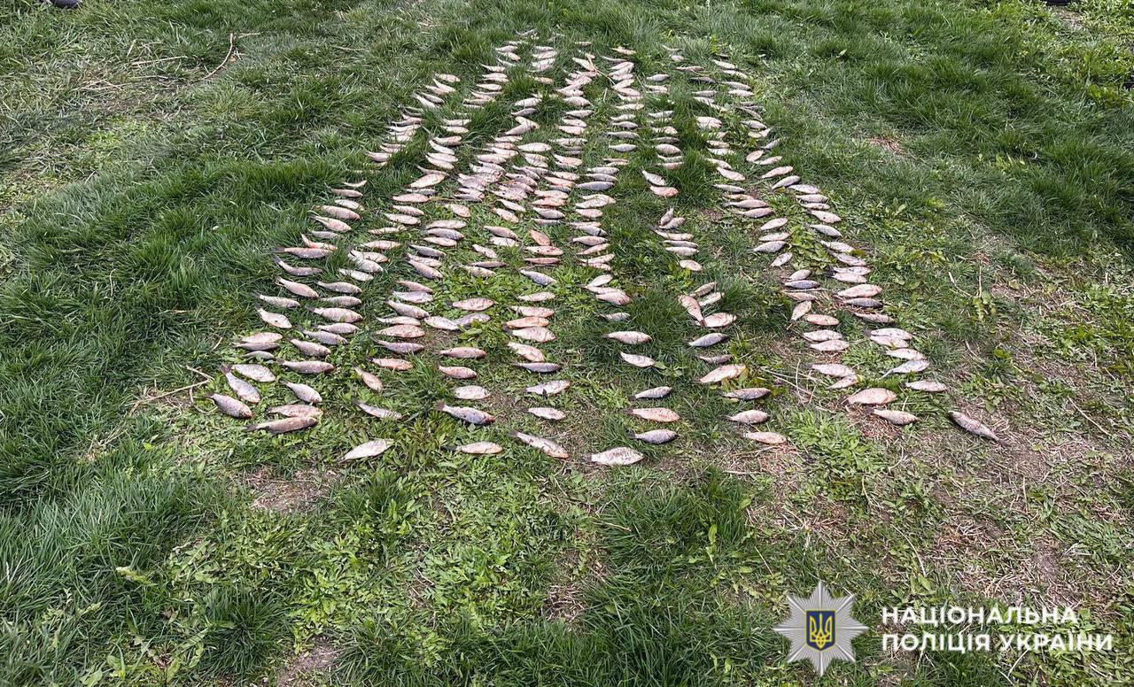 Рибалка на Київщині наловив сітками риби на 500 тисяч гривень