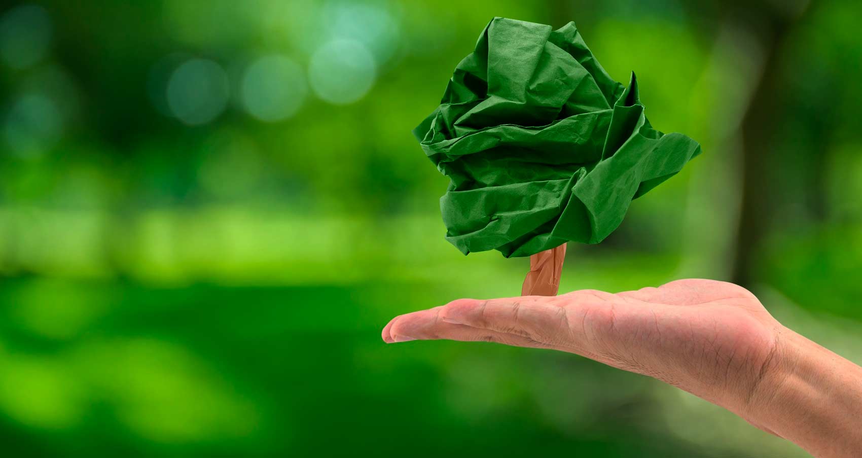 Куди здати макулатуру в Києві: локації та ціни - фото 4