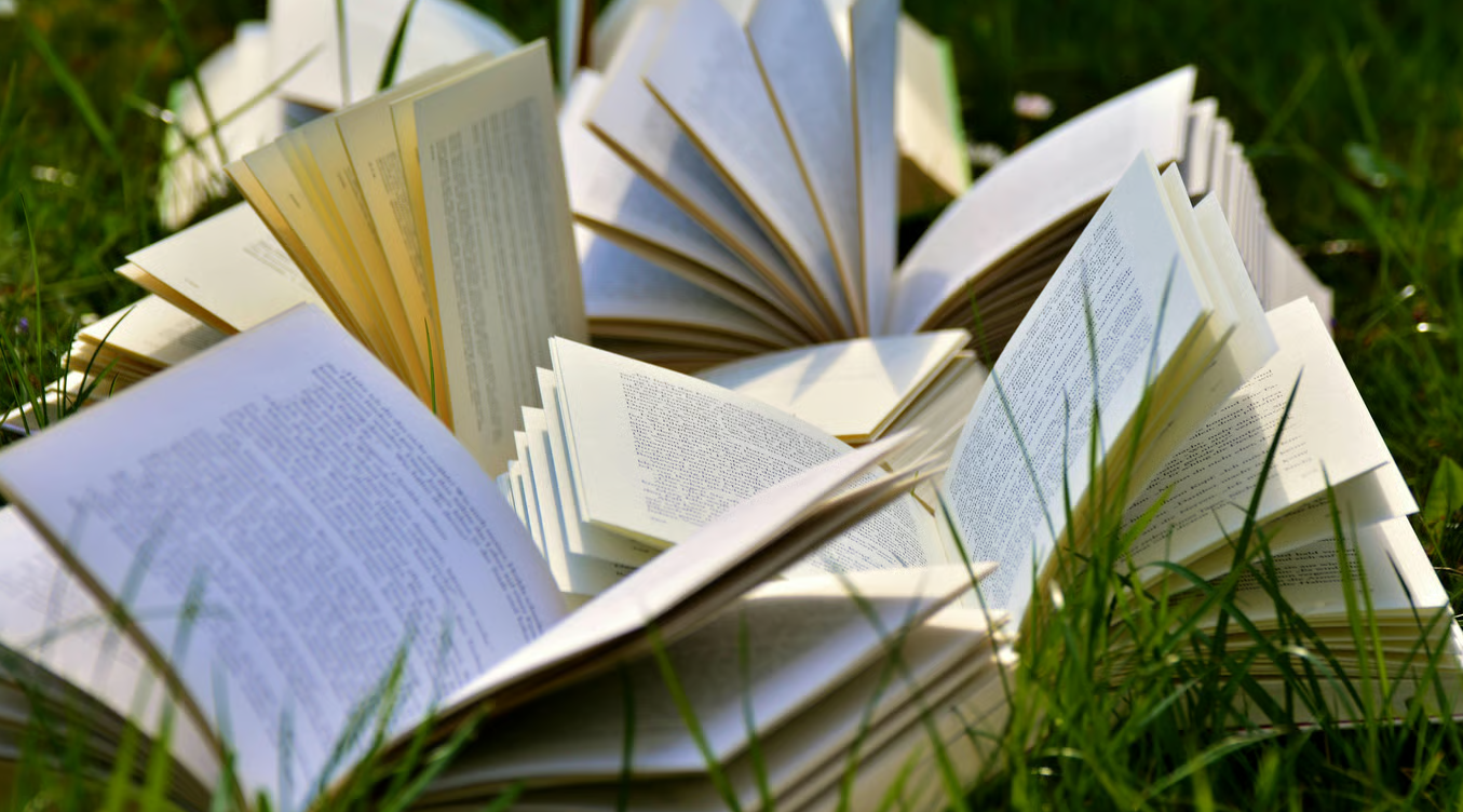 Куди здати макулатуру в Києві: локації та ціни - фото 6