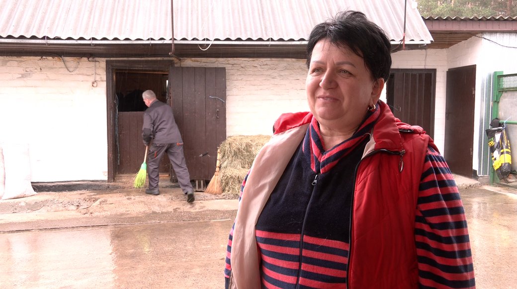 Дотації на худобу: як фермери Черкащини подають заявки на держпідтримку