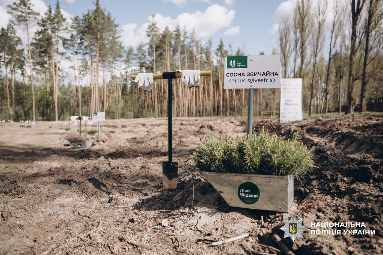 Воїни стрілецького батальйону «Чорна ласка» посадили ліс на Черкащині - фото 3