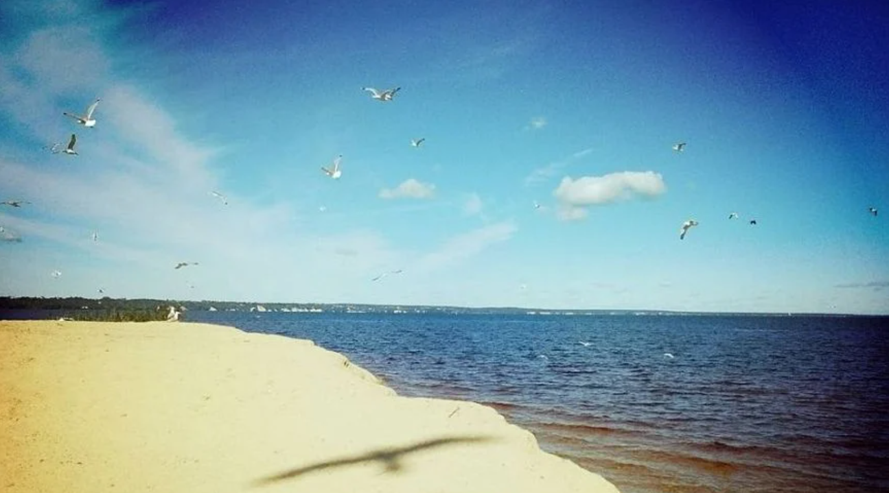 Київське водосховище: історія та цікаві факти - фото 10