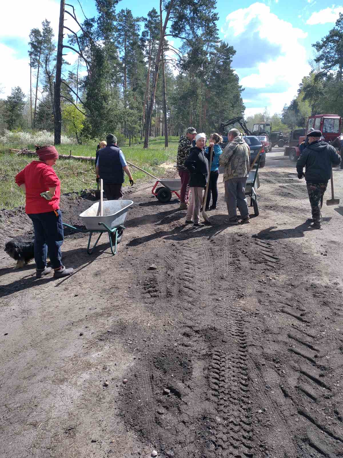 Цеглою закривали «кратери»: жителі селища на Черкащині самотужки залатали дорогу - фото 3