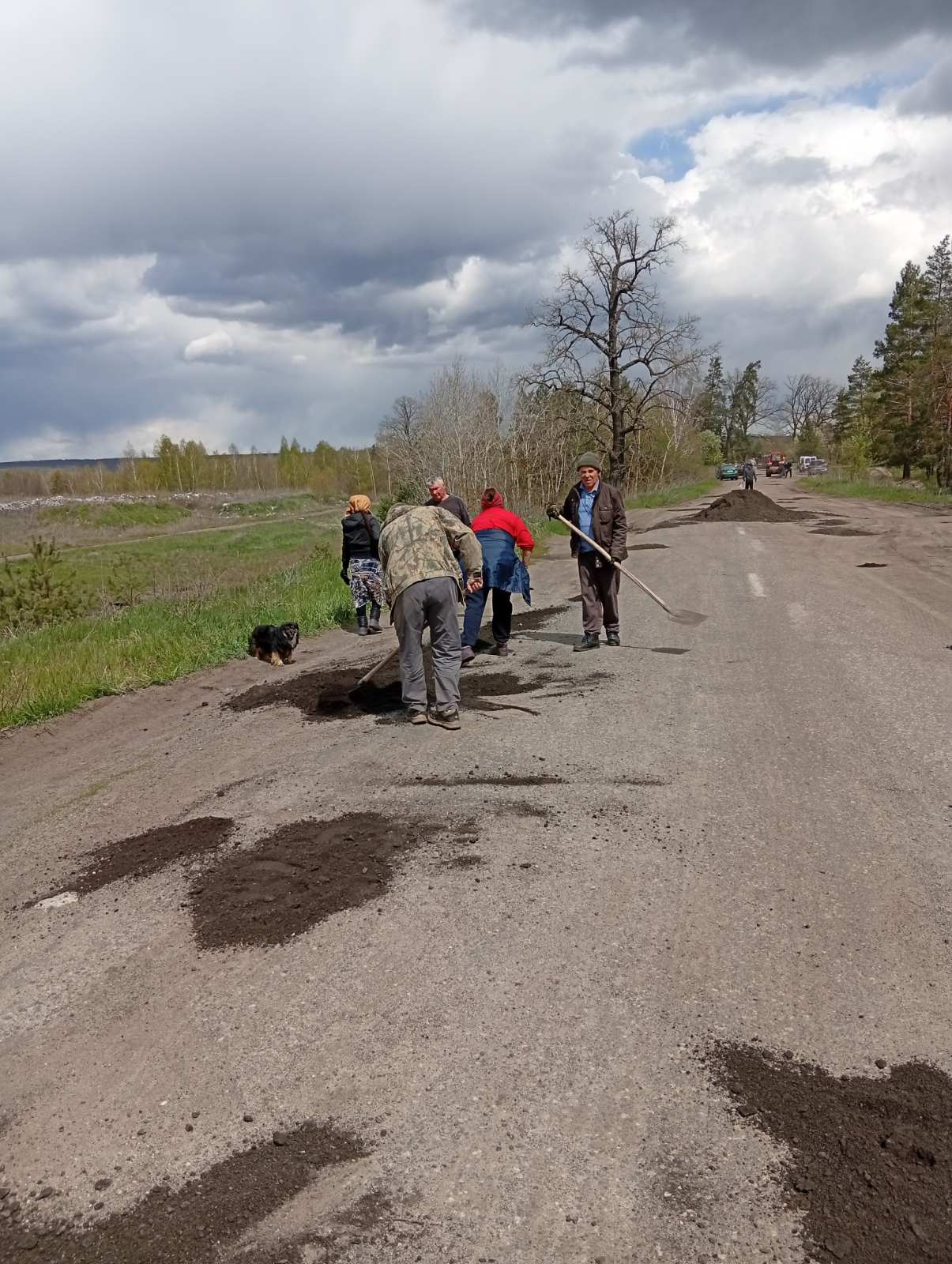 Цеглою закривали «кратери»: жителі селища на Черкащині самотужки залатали дорогу - фото 7