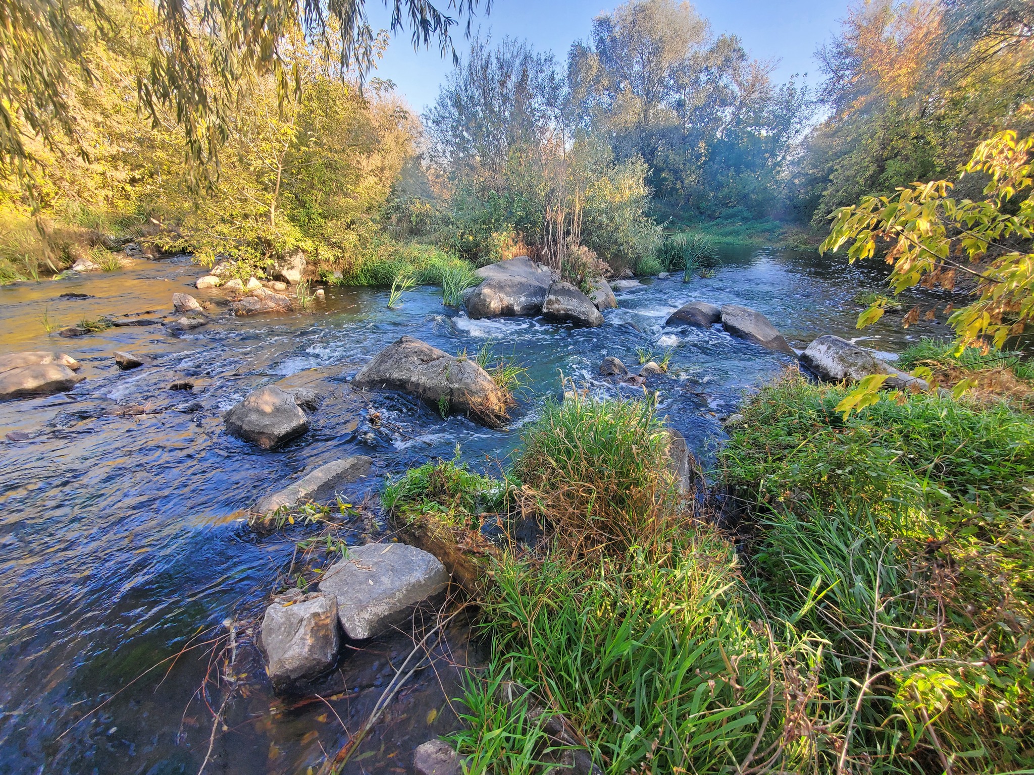 В селі на Київщині продають старовинний водяний млин - фото 4
