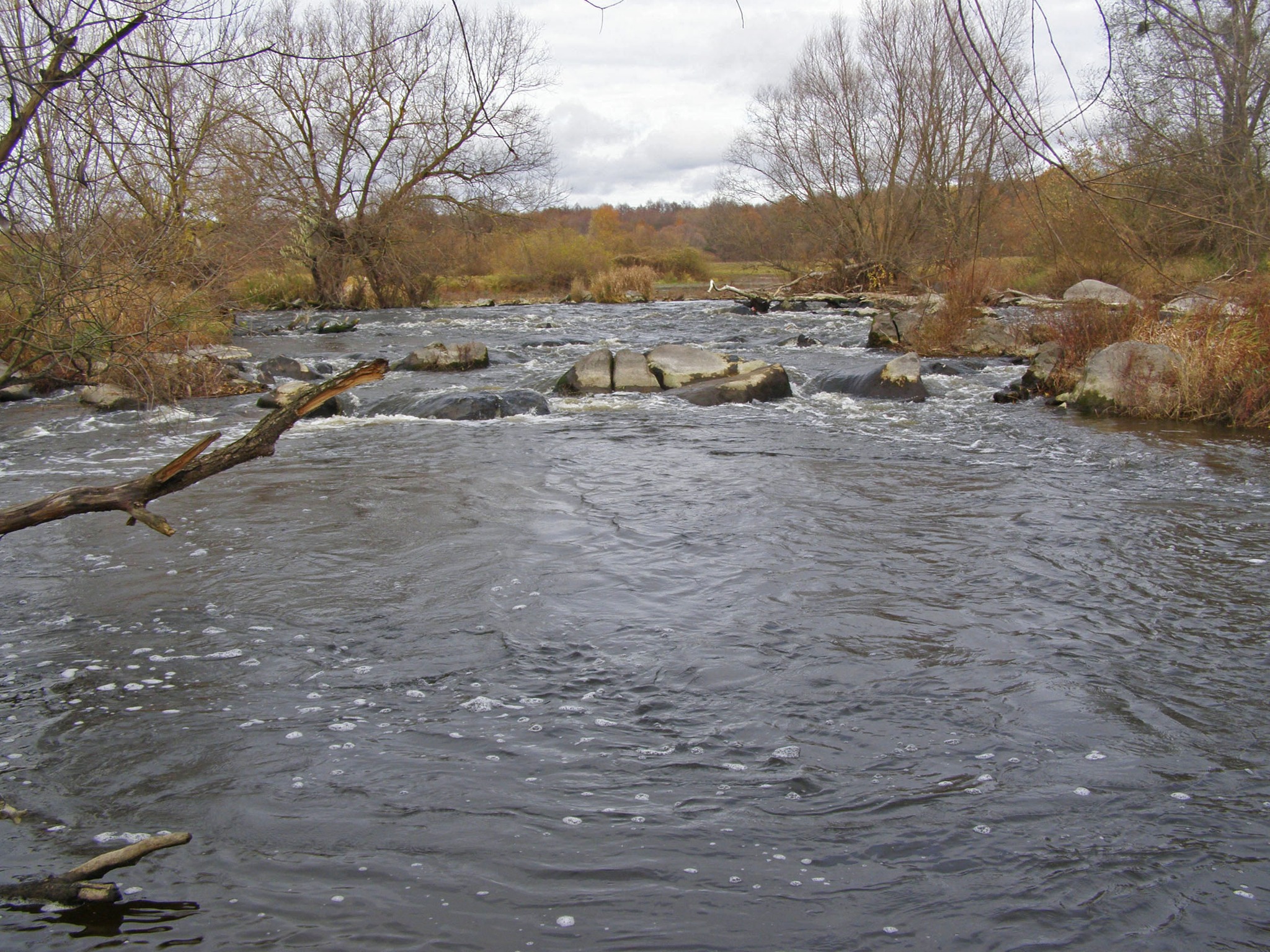 В селі на Київщині продають старовинний водяний млин - фото 2