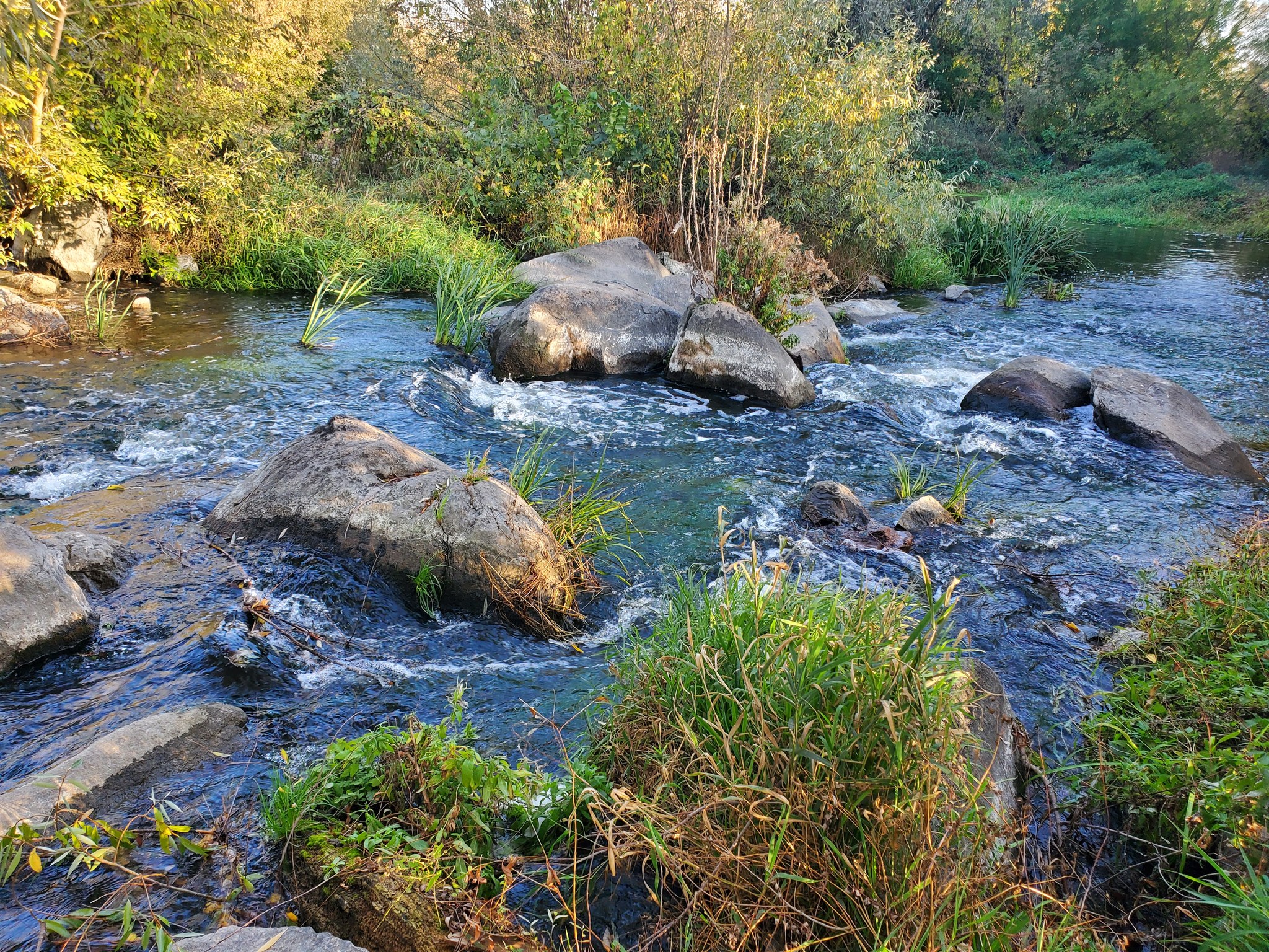 В селі на Київщині продають старовинний водяний млин - фото 6