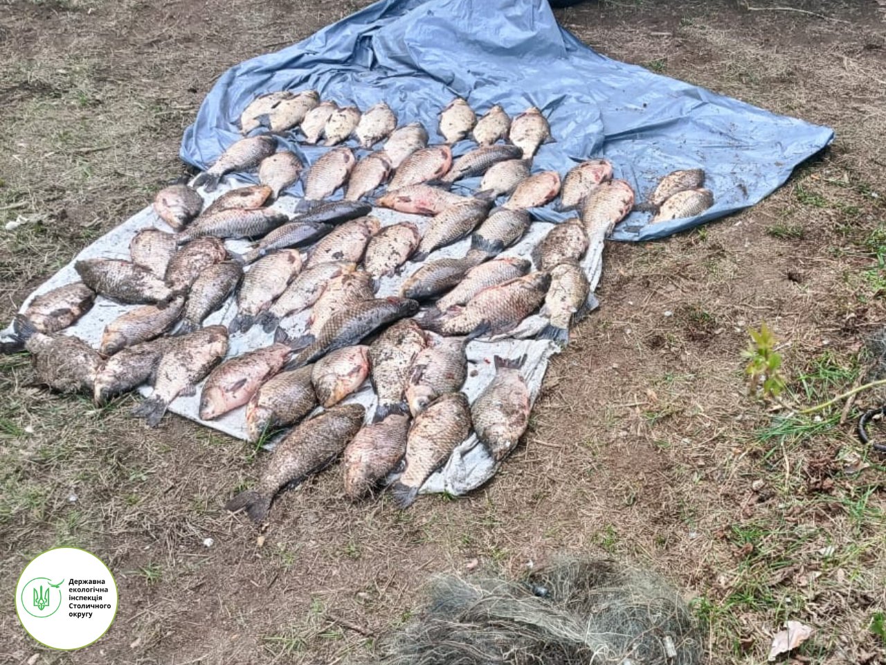 На Вишгородщині викрили браконьєра: збитки понад 89 тис. грн