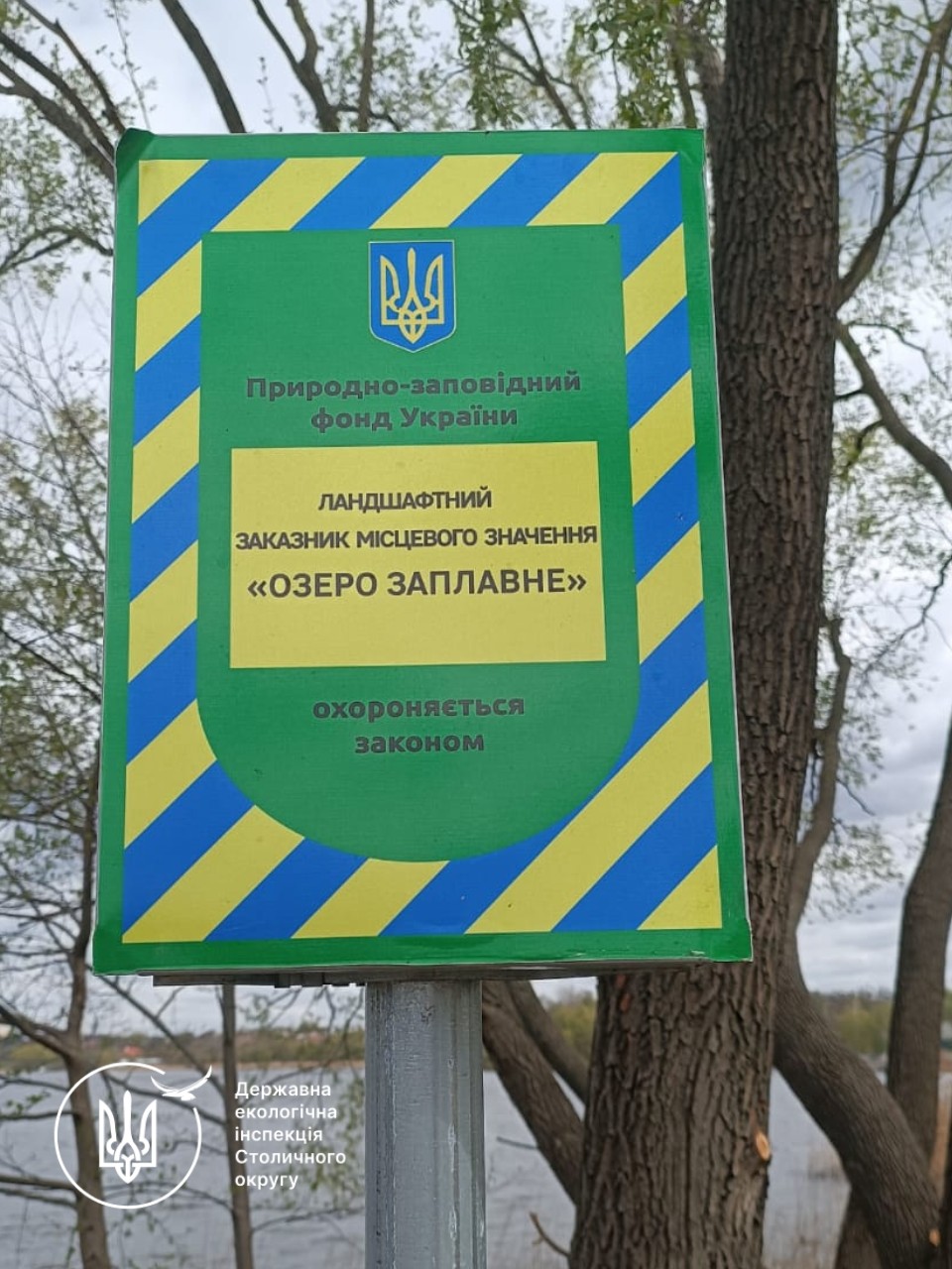 На території заказника в Києві пошкодили 122 дерева: збитки перевищили 2,6 млн грн