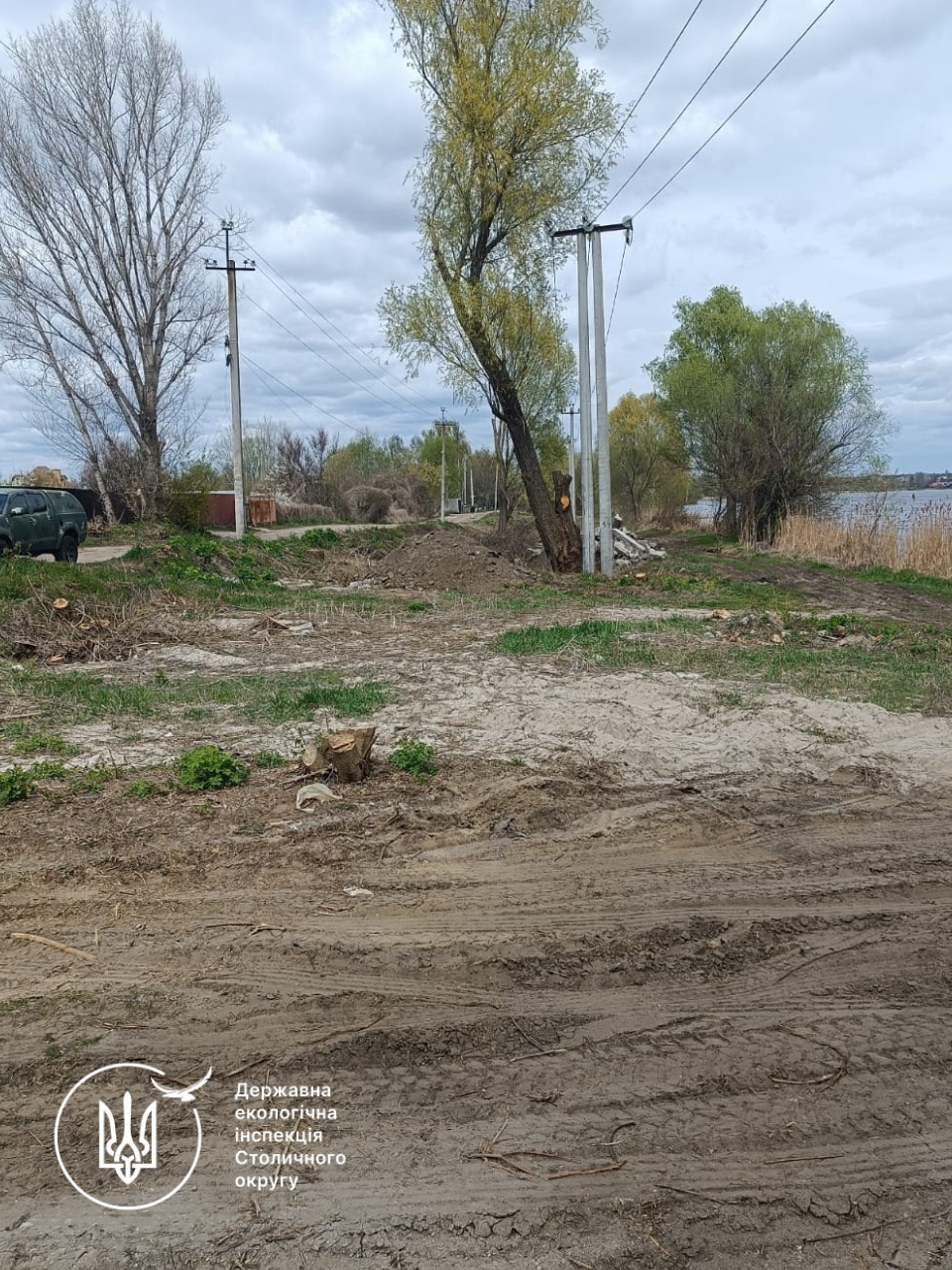 На території заказника в Києві пошкодили 122 дерева: збитки перевищили 2,6 млн грн - фото 4