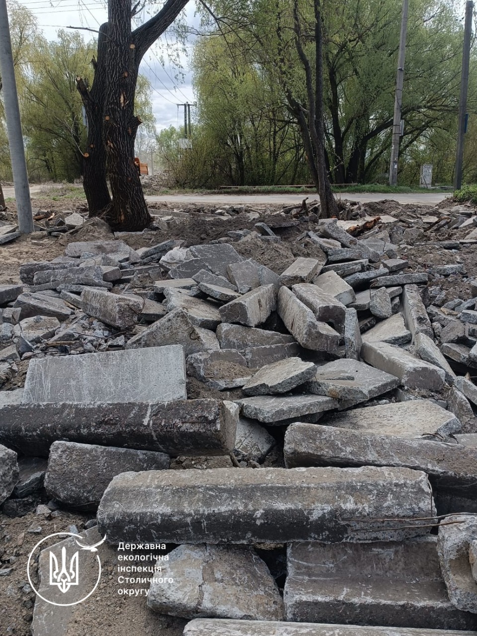 На території заказника в Києві пошкодили 122 дерева: збитки перевищили 2,6 млн грн - фото 3